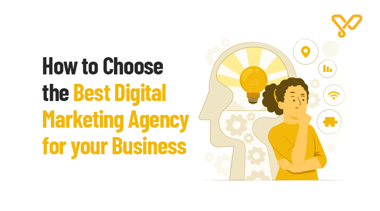Trending web code settings for a nice portfolio